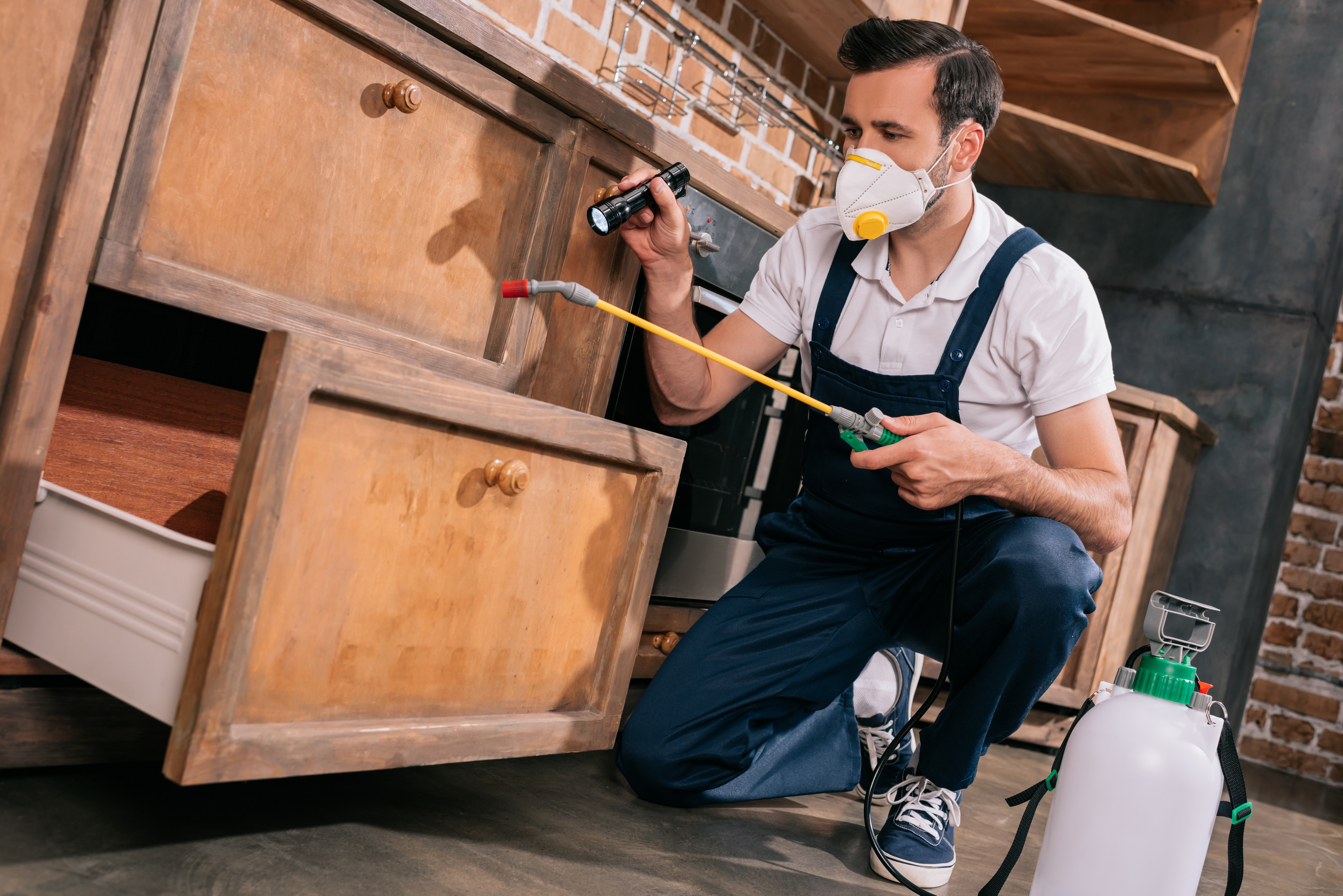 Pest Removal Company Monmouth IL